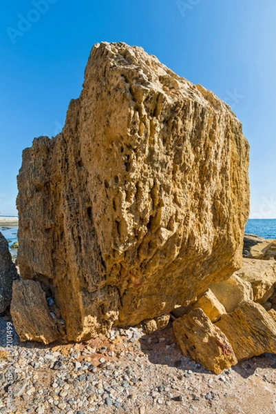 Fototapeta a vertical shot of a sandy coast and stones