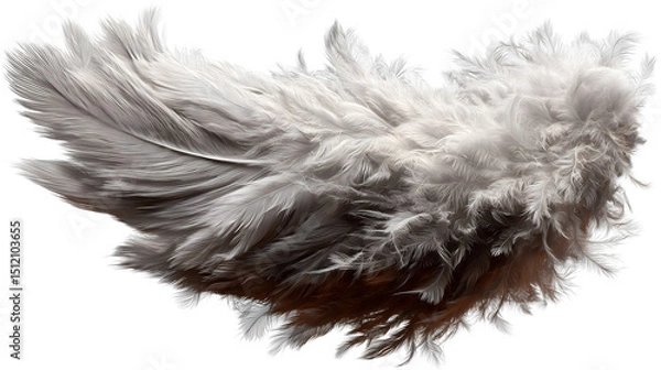 Fototapeta A wing of soft white feathers on a close up shot artistic abstract isolated on white transparent background PNG cutout