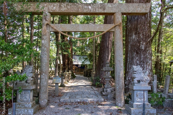 Obraz Asukacho, Kumano, Mie, Japan-16 April 2025; Torii gate and statues of the local Asuka Shrine surrounded by huge cedar trees