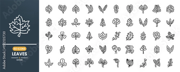 Obraz Leaves and leaf vector line icon set. Contains linear outline icons like Plant, Nature, Environment, Ecology, Palm, Maple, Tropical, Flora. Editable use and stroke.
