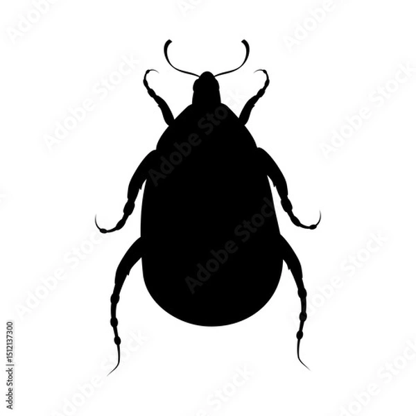 Fototapeta Black silhouette of insect beetle on white background. Isolated vector illustration.