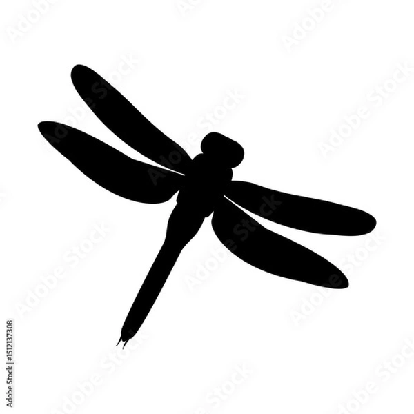 Fototapeta Black silhouette of dragonfly insect on white background. Isolated vector illustration.