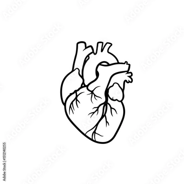 Fototapeta Real Heart Outline silhouette vector flat illustration design.