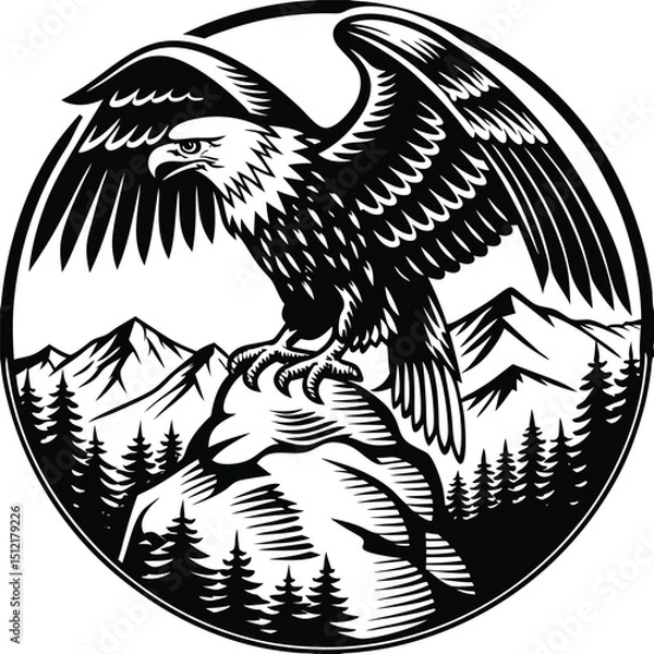 Obraz eagle