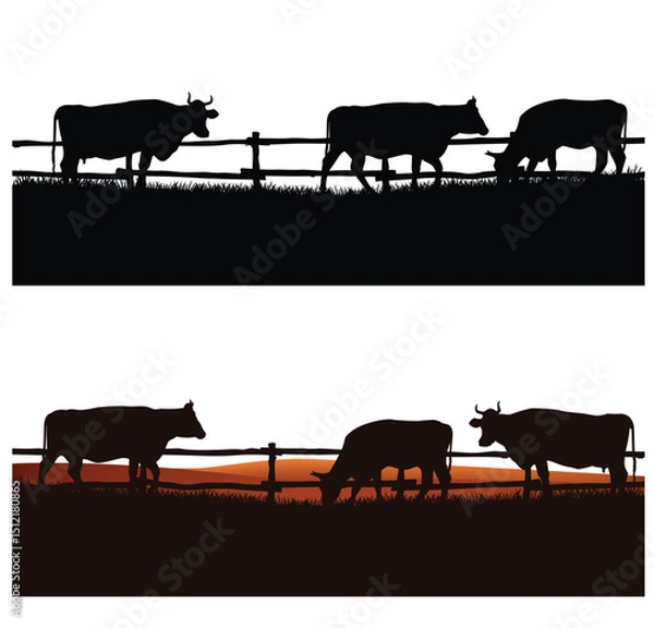 Obraz herd of domestic cows grazing in the field behind wooden fence - cattle farm vector silhouette outdoors scene