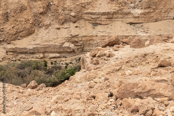 Fototapeta The unrivaled  splendor of the nature in Arugot Stream Nature Reserve near the Dead Sea in the southern Israel