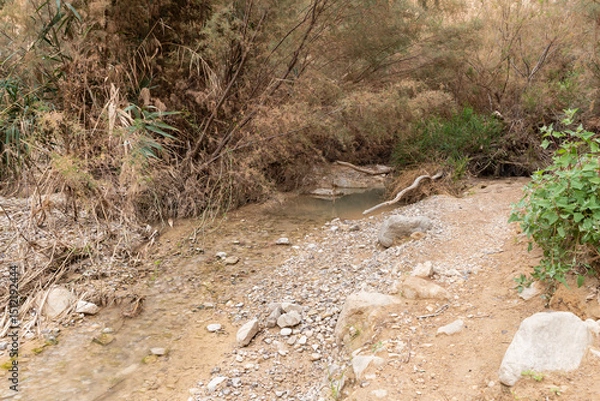 Fototapeta Shallow  narrow mountain stream flows in Arugot Stream Nature Reserve near Dead Sea in southern Israel