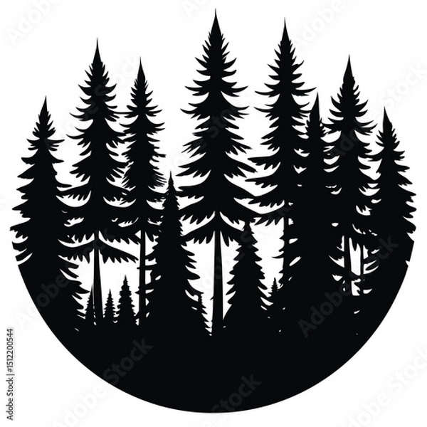 Obraz a forest silhouette on white background