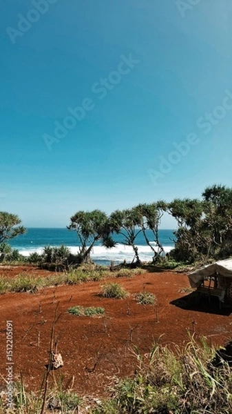 Obraz Seaside Trees Under Blue Sky
