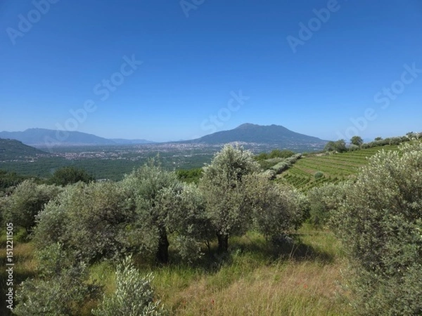 Fototapeta The landscape with a volcano in the center seen from the abbey of Visciano in the province of Naples, Italy.