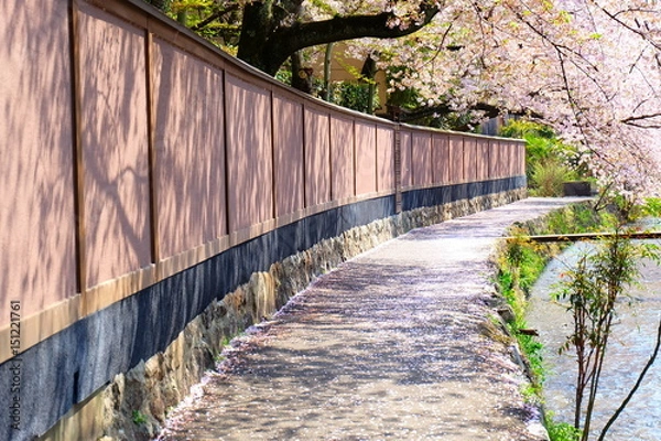Fototapeta 春の祇園白川