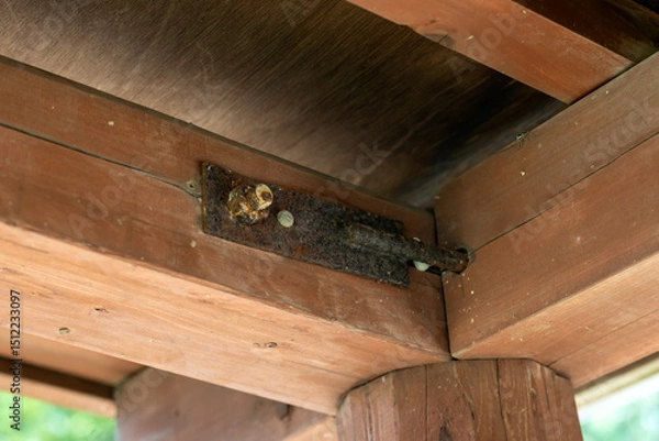 Obraz The wooden beam and metal connector plate are getting rusty. 