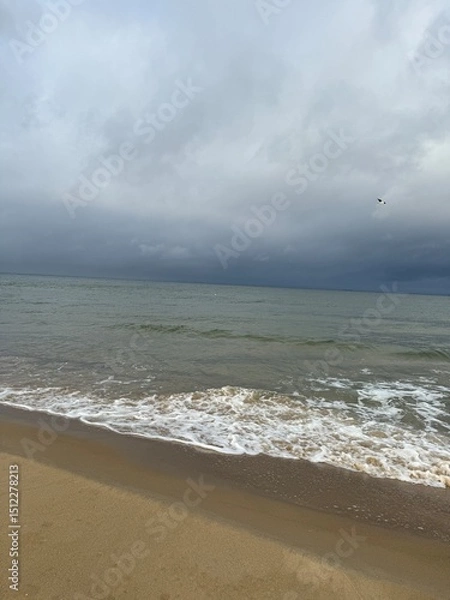 Obraz storm on the beach