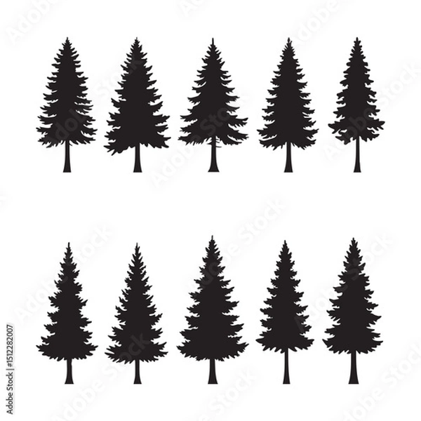 Fototapeta Silhouette set of pine tree on white background