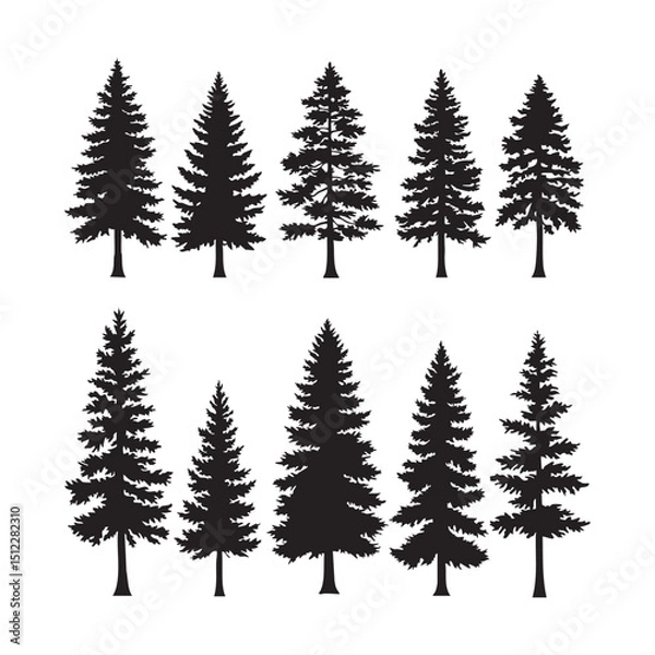 Fototapeta Silhouette set of pine tree on white background