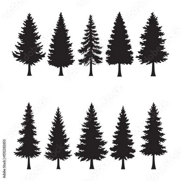 Fototapeta Silhouette set of pine tree on white background