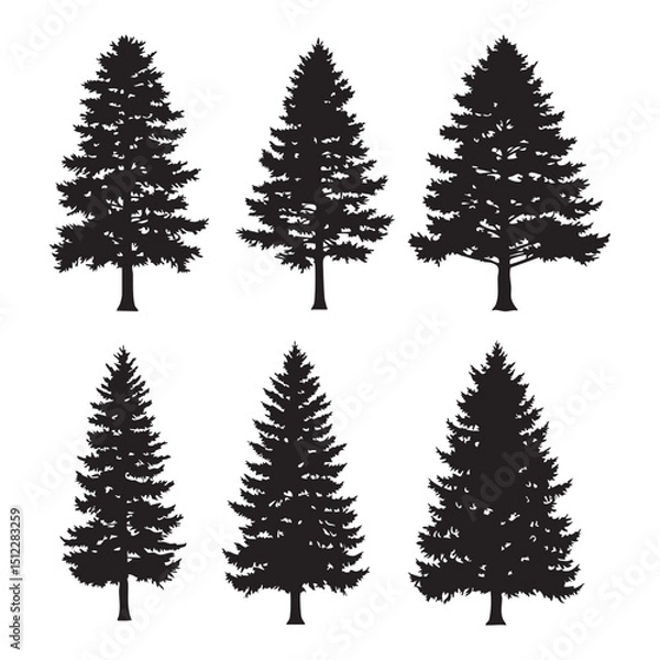 Fototapeta Silhouette set of pine tree on white background