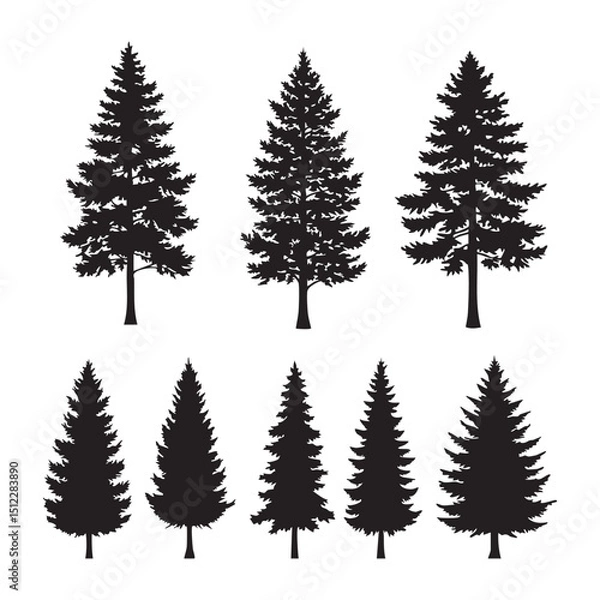 Fototapeta Silhouette set of pine tree on white background