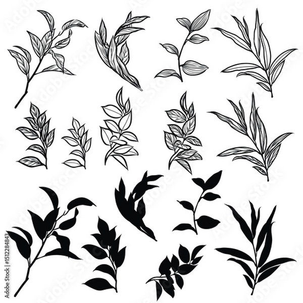 Fototapeta Elements vector of leaves set