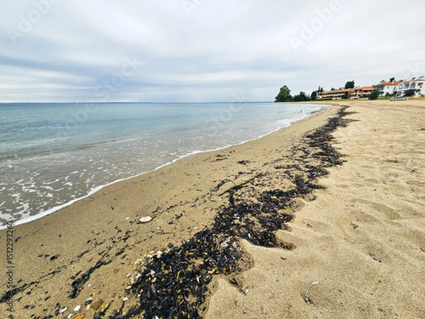 Fototapeta Calm seaside view at a quiet beach with gentle waves and scattered seaweed along the shoreline in Sarti on Sithonia peninsula, Greece