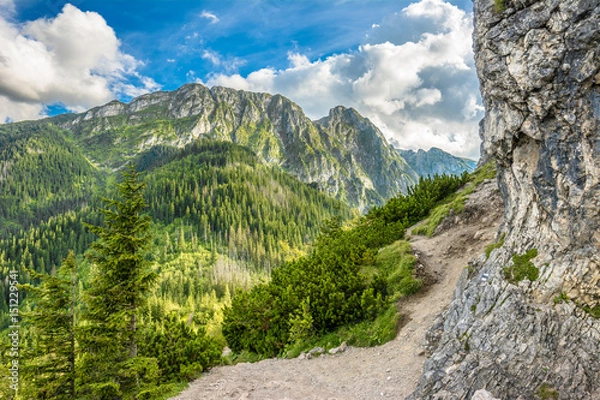 Fototapeta Peak of mountain in Tatra Mountains, view of Giewont from top of Sarnia Skala, summer, landscape, Poland