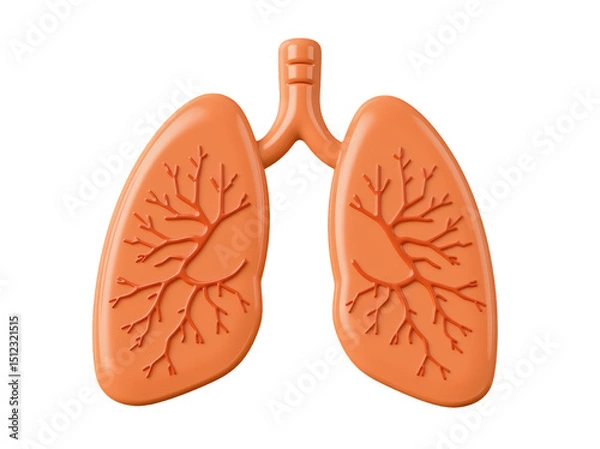 Obraz 3D rendered Model of Human Lungs Detailed Bronchial Anatomy Illustration