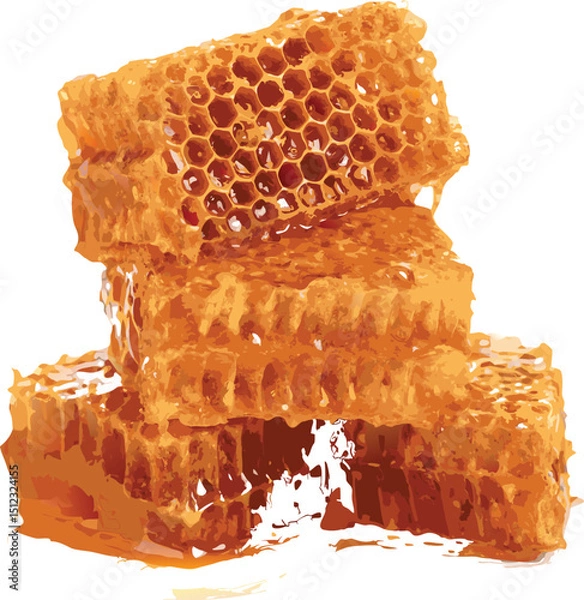 Fototapeta vector honeycomb isolated on white