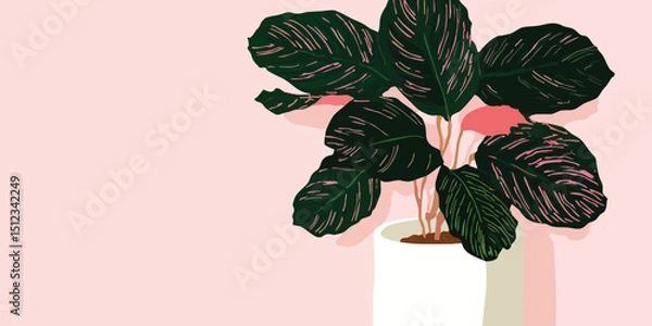 Obraz A stylized illustration of a Calathea plant in a pot, showcasing its lush, patterned leaves against a minimalist, inviting pastel backdrop.