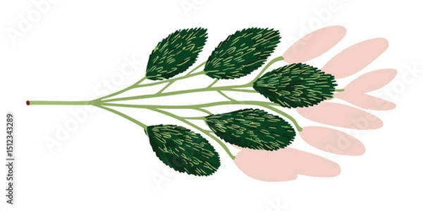Obraz A delicate botanical illustration of stylized foliage showcasing the beauty of plant forms, depicting a graceful, symmetrical design. 