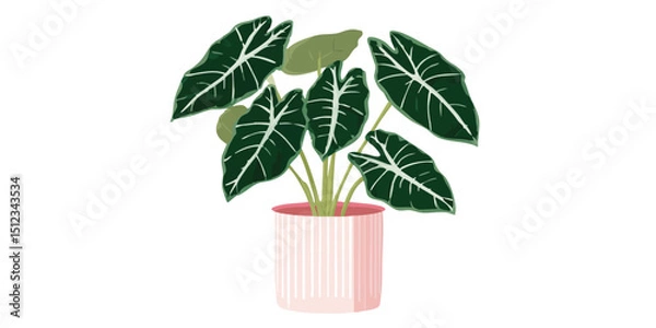 Obraz A serene indoor plant with dark green leaves and prominent white veining, artfully housed in a pink pot. This is a perfect minimalist decor.