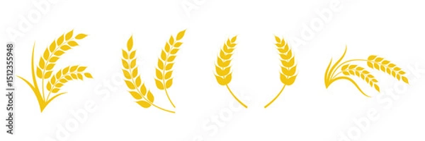 Obraz Wheat spikes, Wheats ears icon set, Harvest wheat grain, growth rice stalk and whole bread grains or field cereal nutritious.