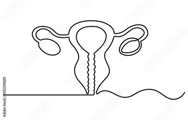 Fototapeta Human uterus organ in continuous one line drawing. Editable vector.One continuous line drawing of woman uterus. Ovary and womb reproductive system in simple linear style for logo and web banner gyneco