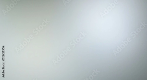 Obraz Soft, muted gray background (1)