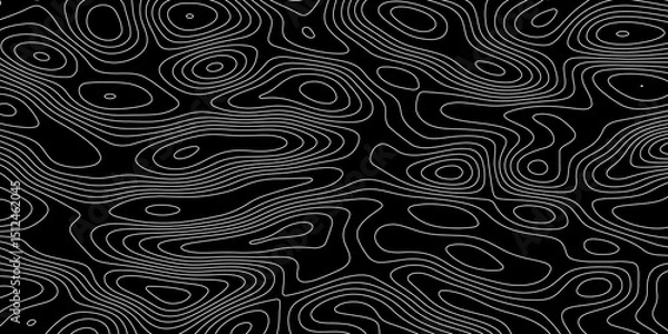Obraz Abstract topographic map background. Topographic map lines contour background. 
