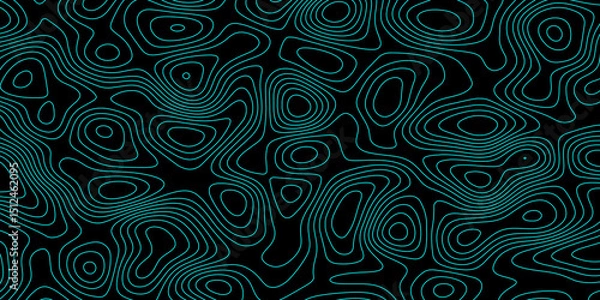 Obraz Abstract topographic map background. Topographic map lines contour background. 
