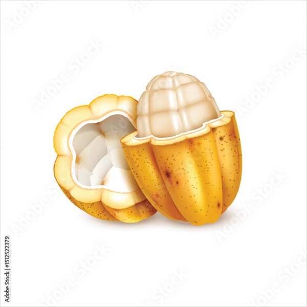 Obraz Peeled raw cocoa fruit isolated on white background