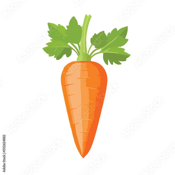 Obraz Carrot Icon