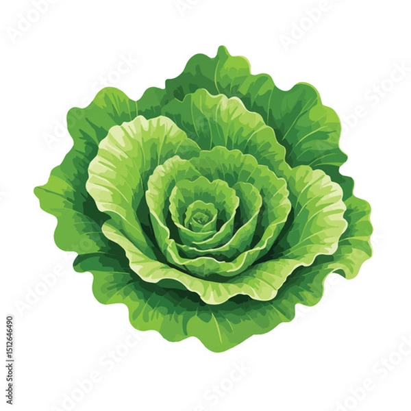 Obraz Lettuce Leaf Icon 