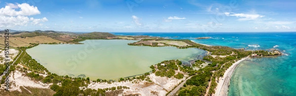 Obraz Etang des Salines and Salines Beach panorama in Sainte-Anne, Martinique, France. Salines Beach is a popular tourist destination along Coastal State Forest.