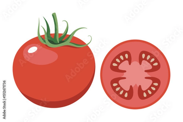 Fototapeta Fresh Red Tomato Whole and Sliced Vector Illustration