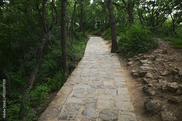 Obraz Stone walkway on smooth footpath at Yuntaishan Park is the most beautiful geological park in Henan Province, China. It is listed as the first geological heritage site in the world.