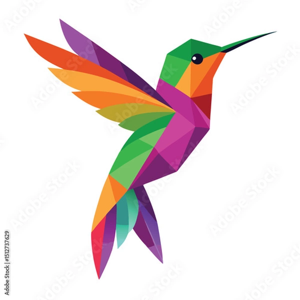Fototapeta vector illustration of a bird