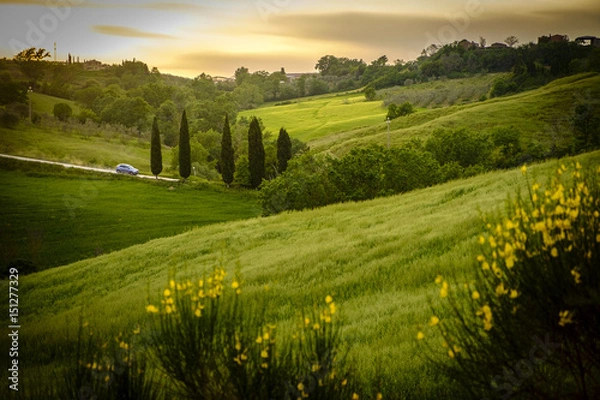 Fototapeta Scenery near to Pienza, Tuscany. The area is part of the Val d'Orcia Italy