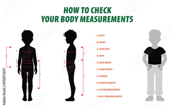 Fototapeta illustration of How to Check Your Body Measurements Guide or How to Check Your Body Measurements for Clothing Fit isolated.