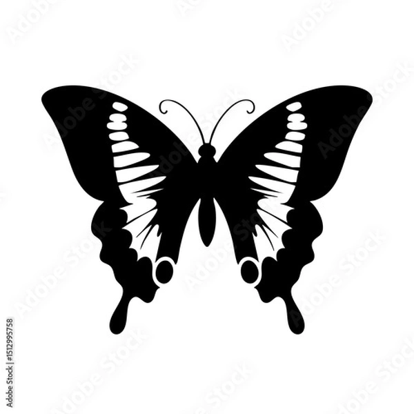 Fototapeta Butterfly vector illustration, black and white butterfly image for graphic design and decoration needs silhouette