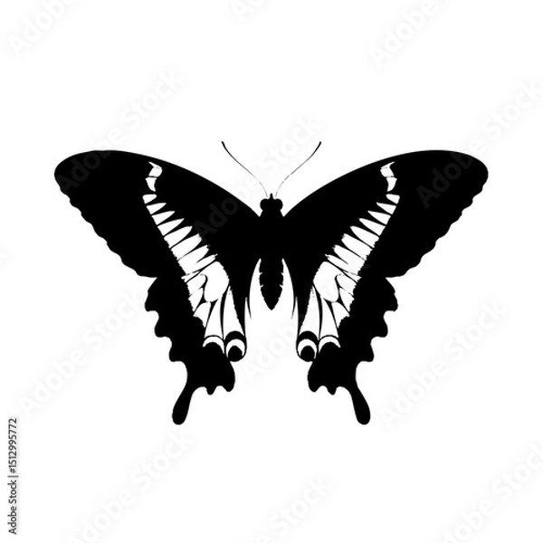 Fototapeta Black swallowtail butterfly vector illustration for graphic design and nature related projects and artwork silhouette