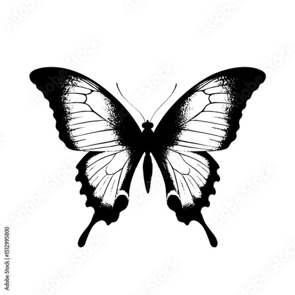 Fototapeta Detailed butterfly illustration for nature lovers and insect enthusiasts perfect for prints and designs silhouette