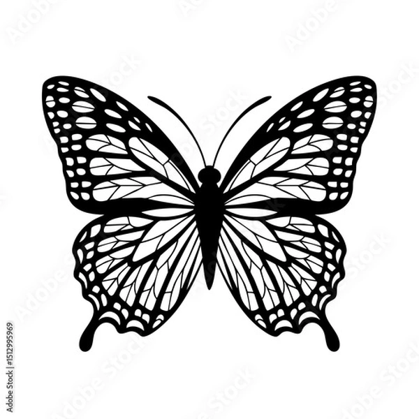 Fototapeta Download black and white butterfly vector illustration for free intricate design and detailed wings art 100 silhouette