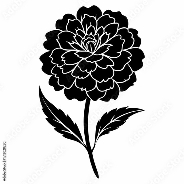 Obraz Merigold flower vector silhouette art
