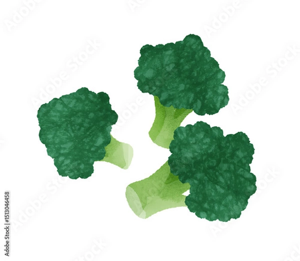 Obraz ブロッコリー